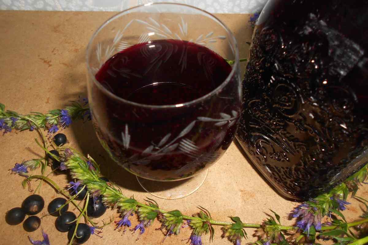 Як зробити вино з чорноплідної горобини