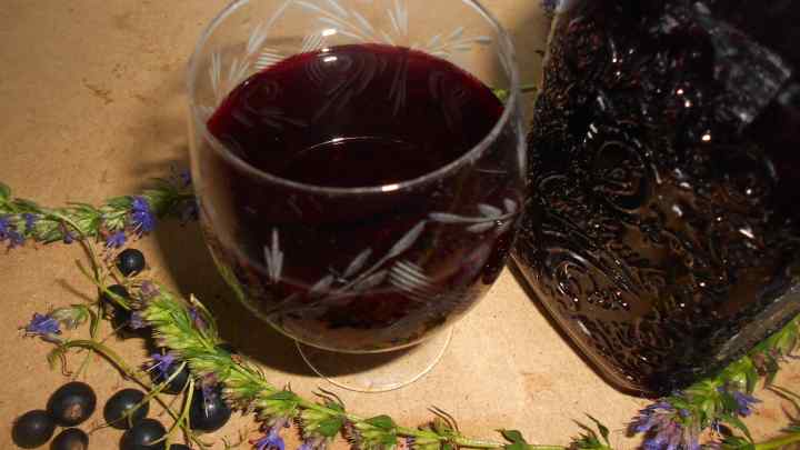 Як зробити вино з чорноплідної горобини