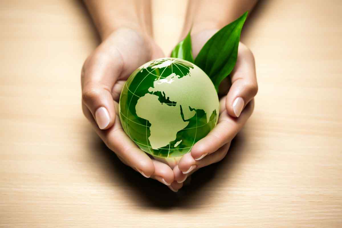 Бізнес-ідея: консультант з екології та озеленення