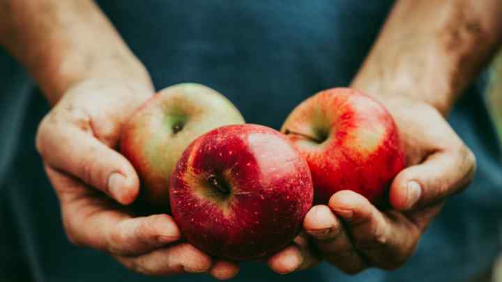 10 причин є яблука щодня