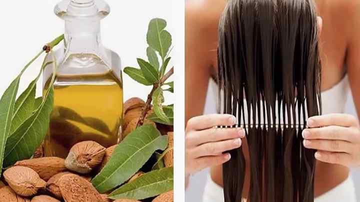 Як правильно наносити на волосся ріпейну олію