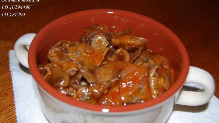 Як приготувати гриби в томатному соусі