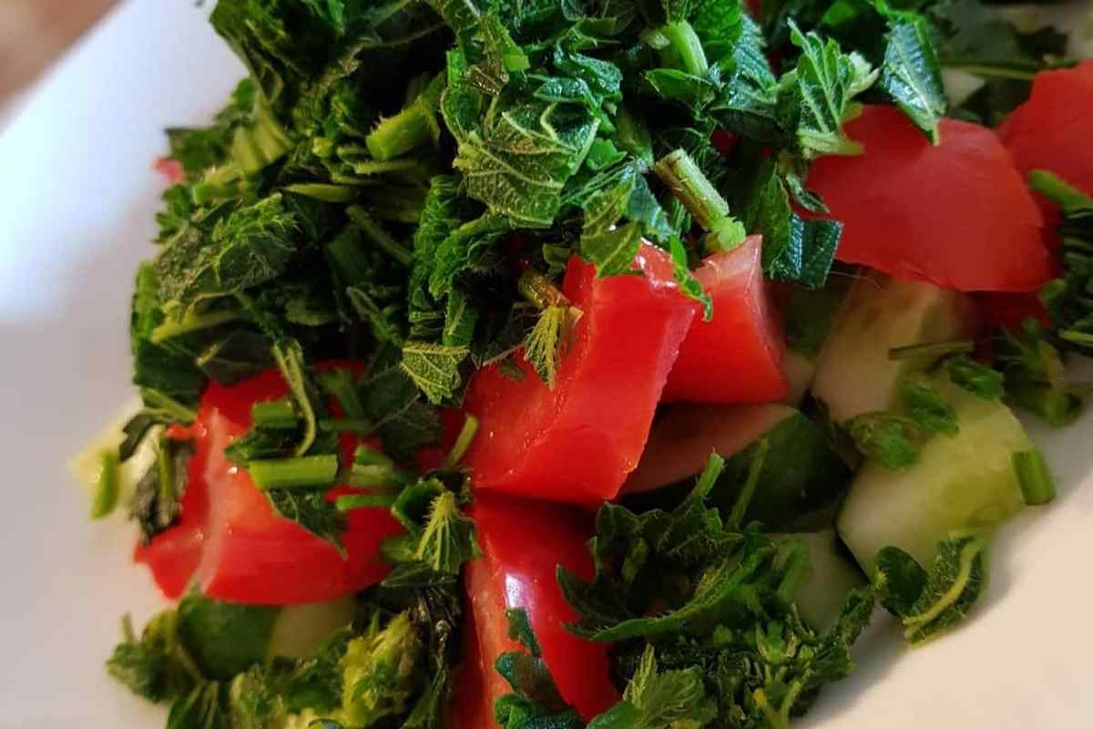 Як зробити салат з крапиви