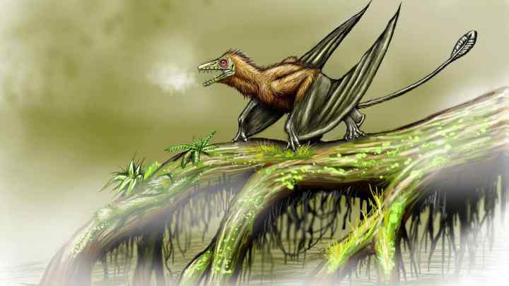 Що було б, якби птерозаври вижили?