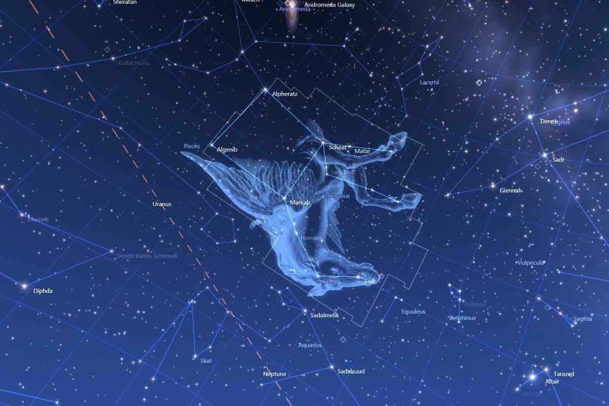 Чому у астрономів 13 сузір 'їв, а у астрологів тільки 12