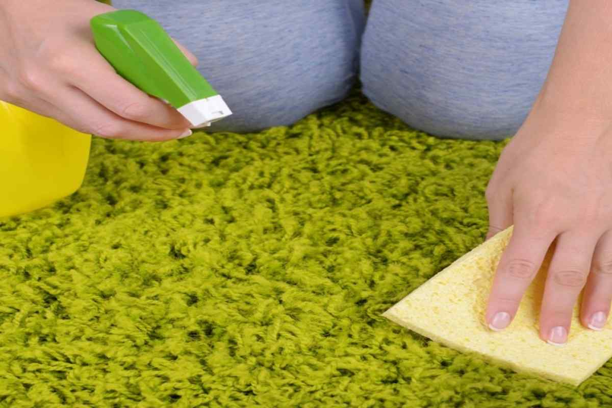 Як зробити килимову чистку