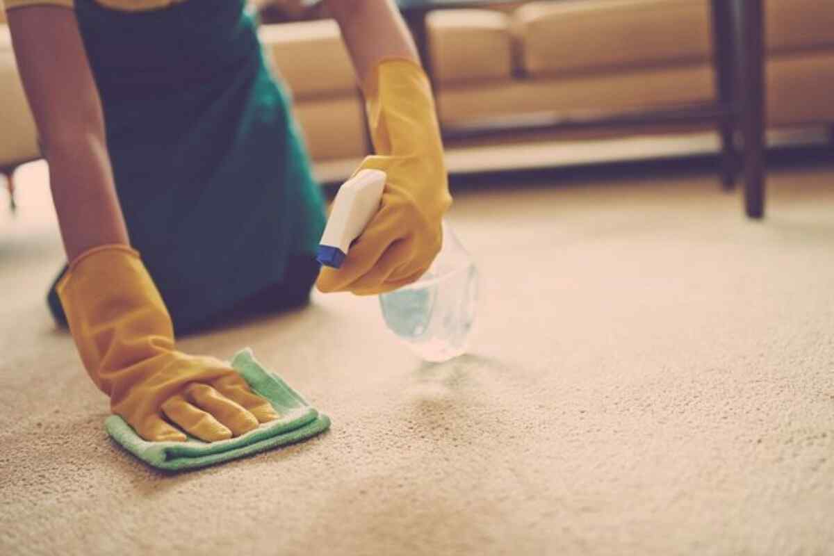 Як очистити килим від сечі