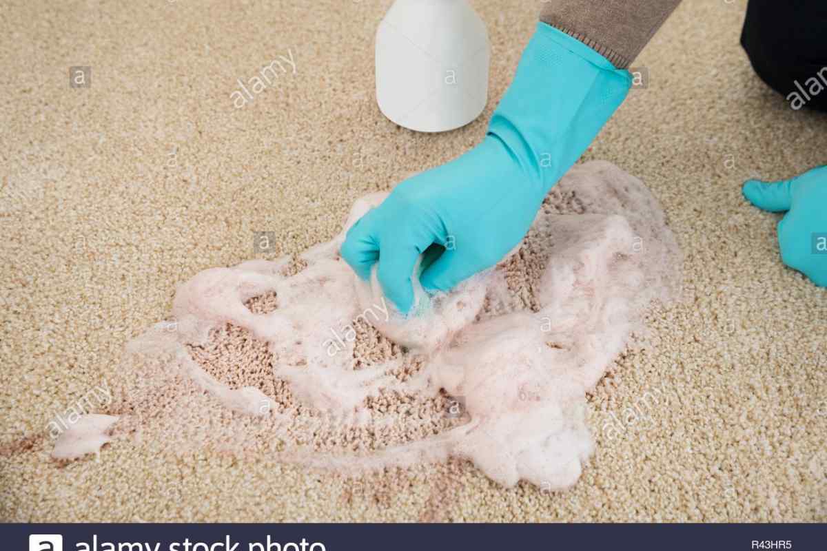 Як очистити ковролін від забруднень