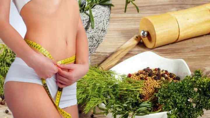 Трави для схуднення: рецепти краси
