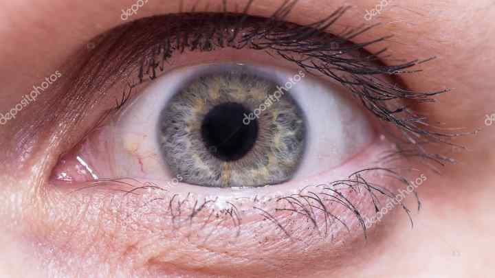 Чим людське око схоже на принтер
