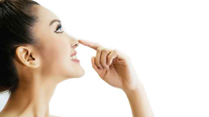 Як ніс розпізнає запахи