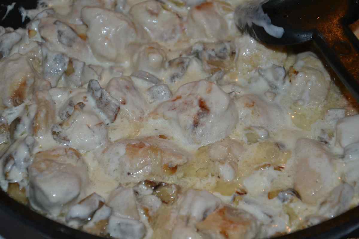 Як готувати гриби білі в сметані