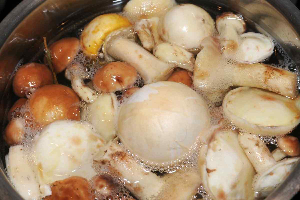 Як варити свіжі гриби