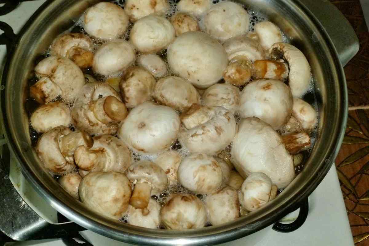 Навіщо варити гриби перед заморожуванням
