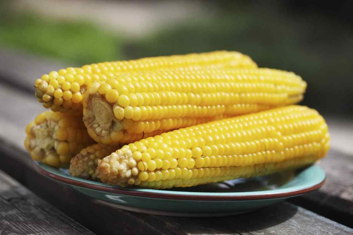 Як варити кукурудзу: корисні поради
