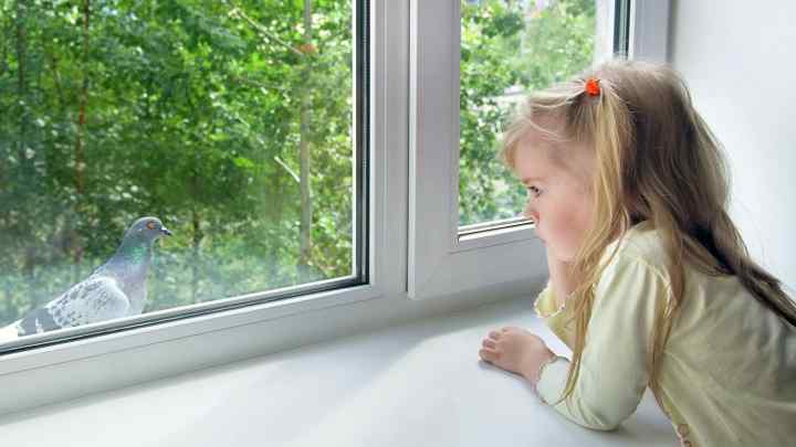 Як уберегти дитину від загрози випасти з вікна