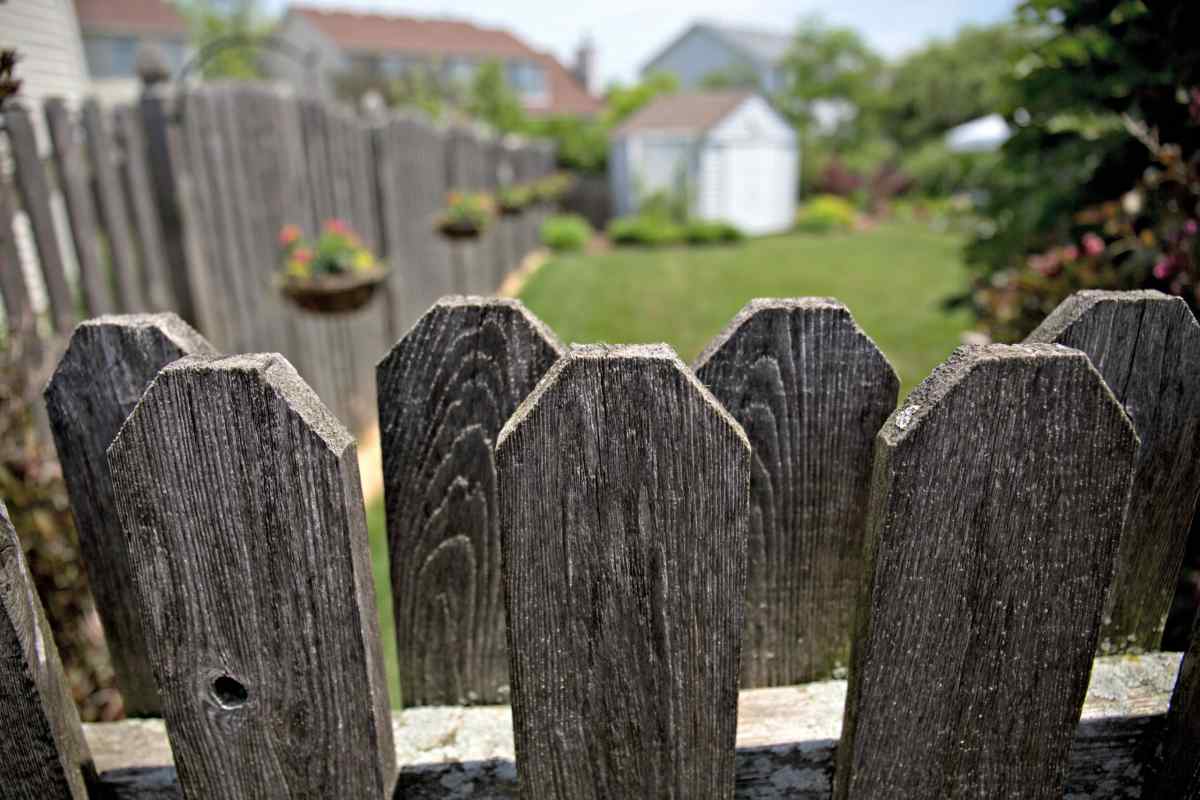 Як правильно ставити паркан між сусідами