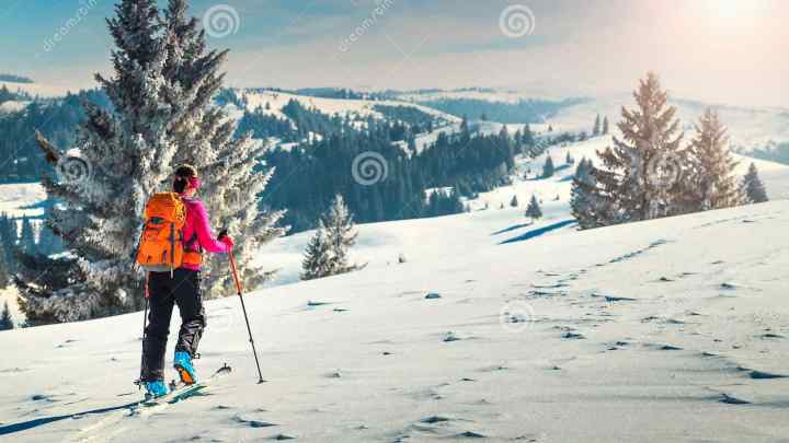 Як вибрати прогулянкові лижі