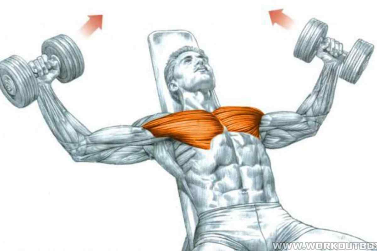 Як накачати нижні м 'язи грудей