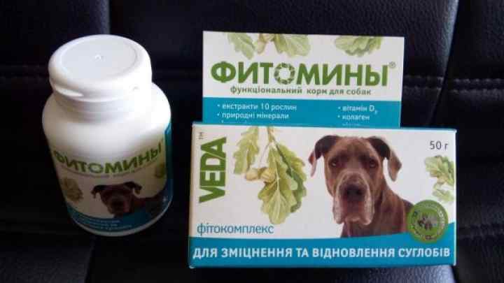 Як давати вітаміни для собак