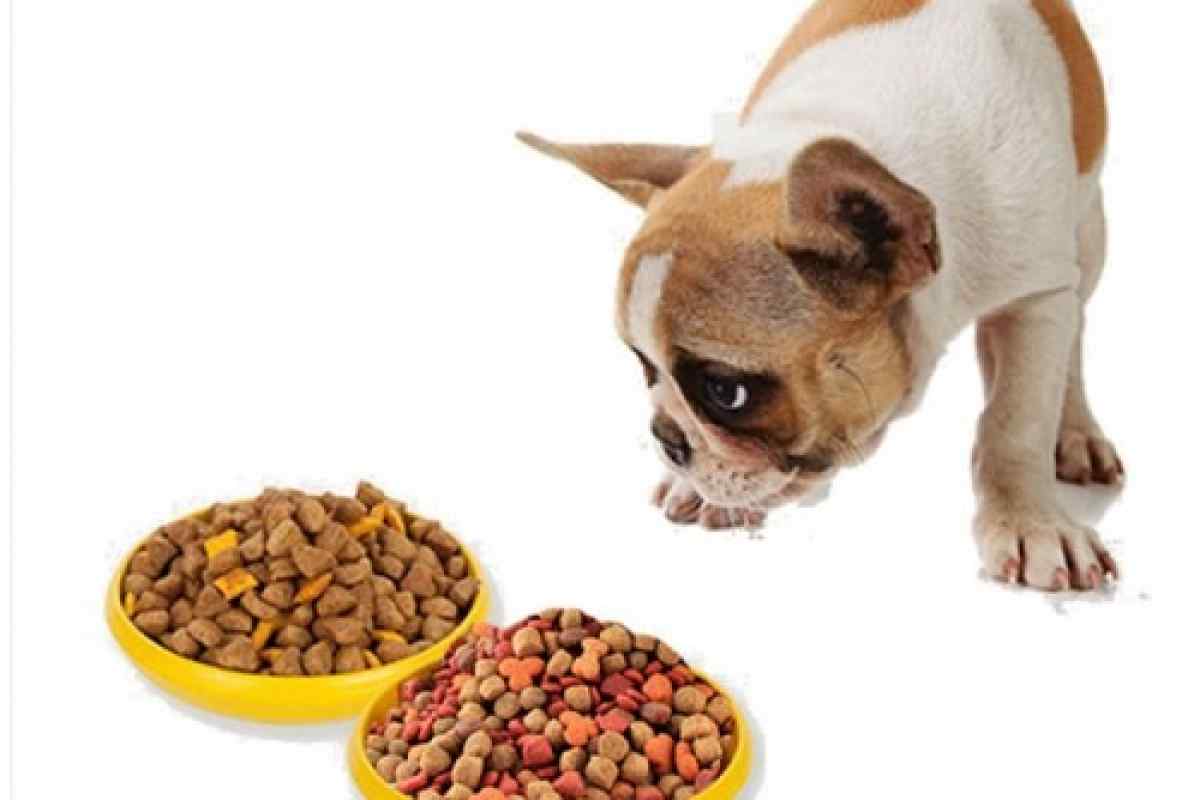 Схема перевода собаки с натуралки на сухой корм