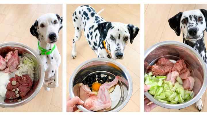 Яким м 'ясом треба годувати собак