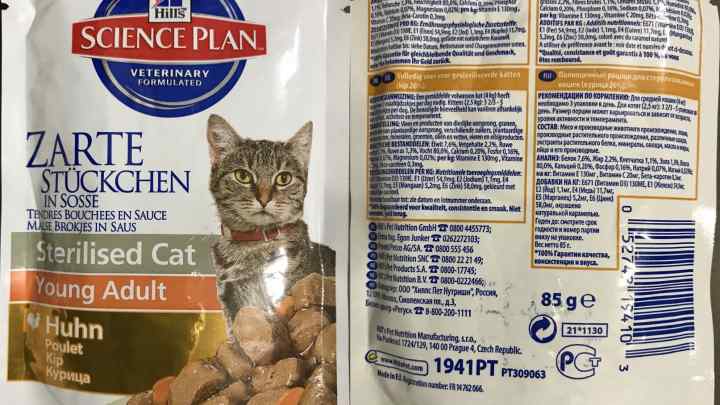 Як вибрати котячий корм при сечокам 'яній хворобі