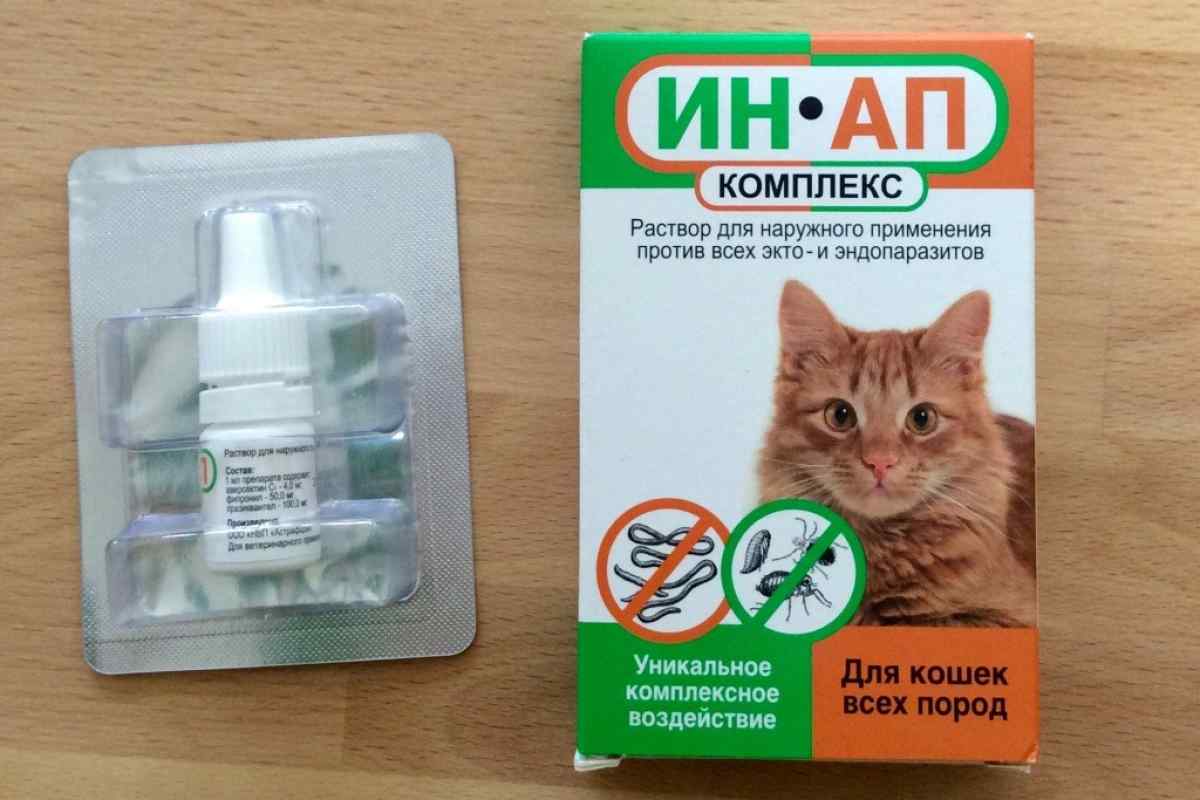 Як захистити кішку від паразитів