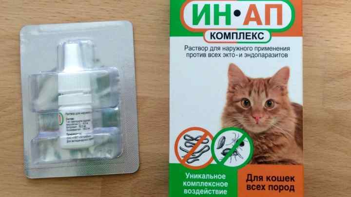 Як захистити кішку від паразитів