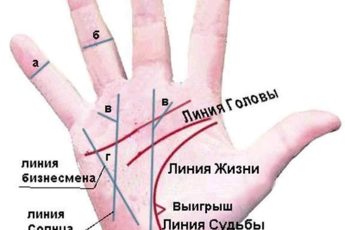 Які лінії руки вважаються найважливішими