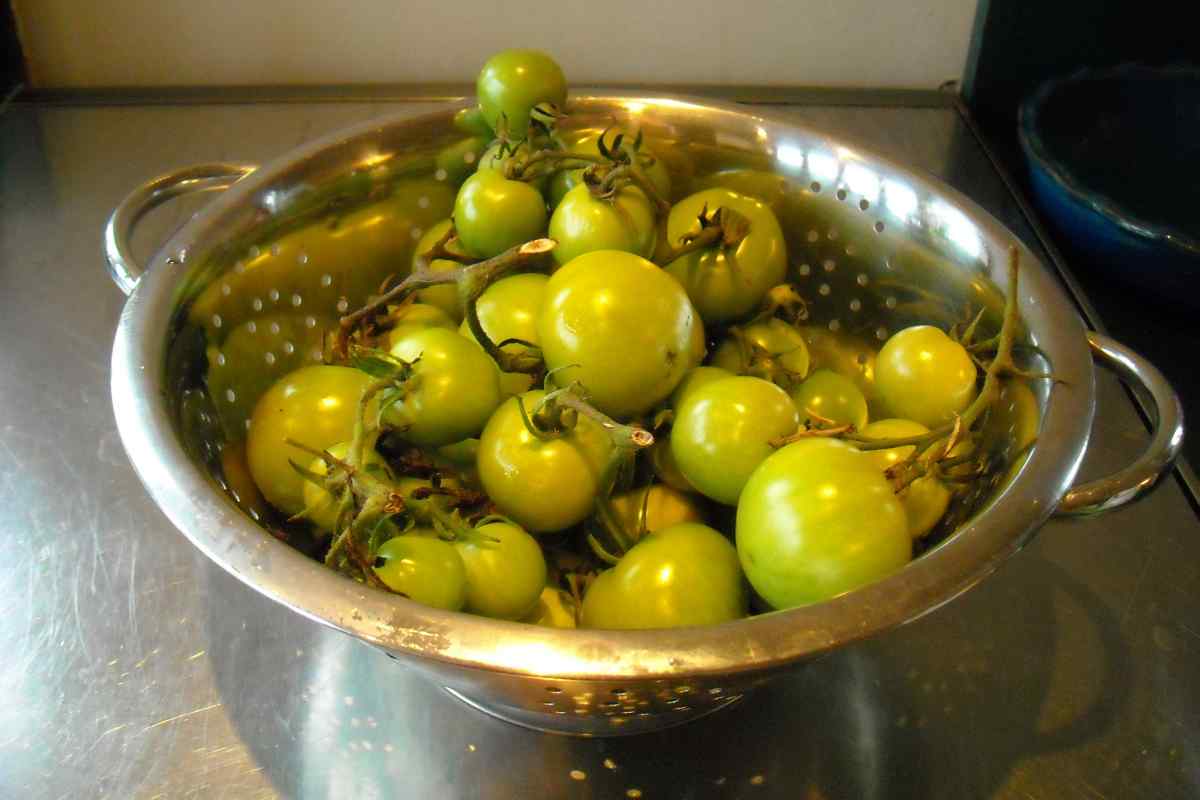 Як приготувати зелені помідори