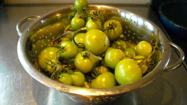Як приготувати зелені помідори