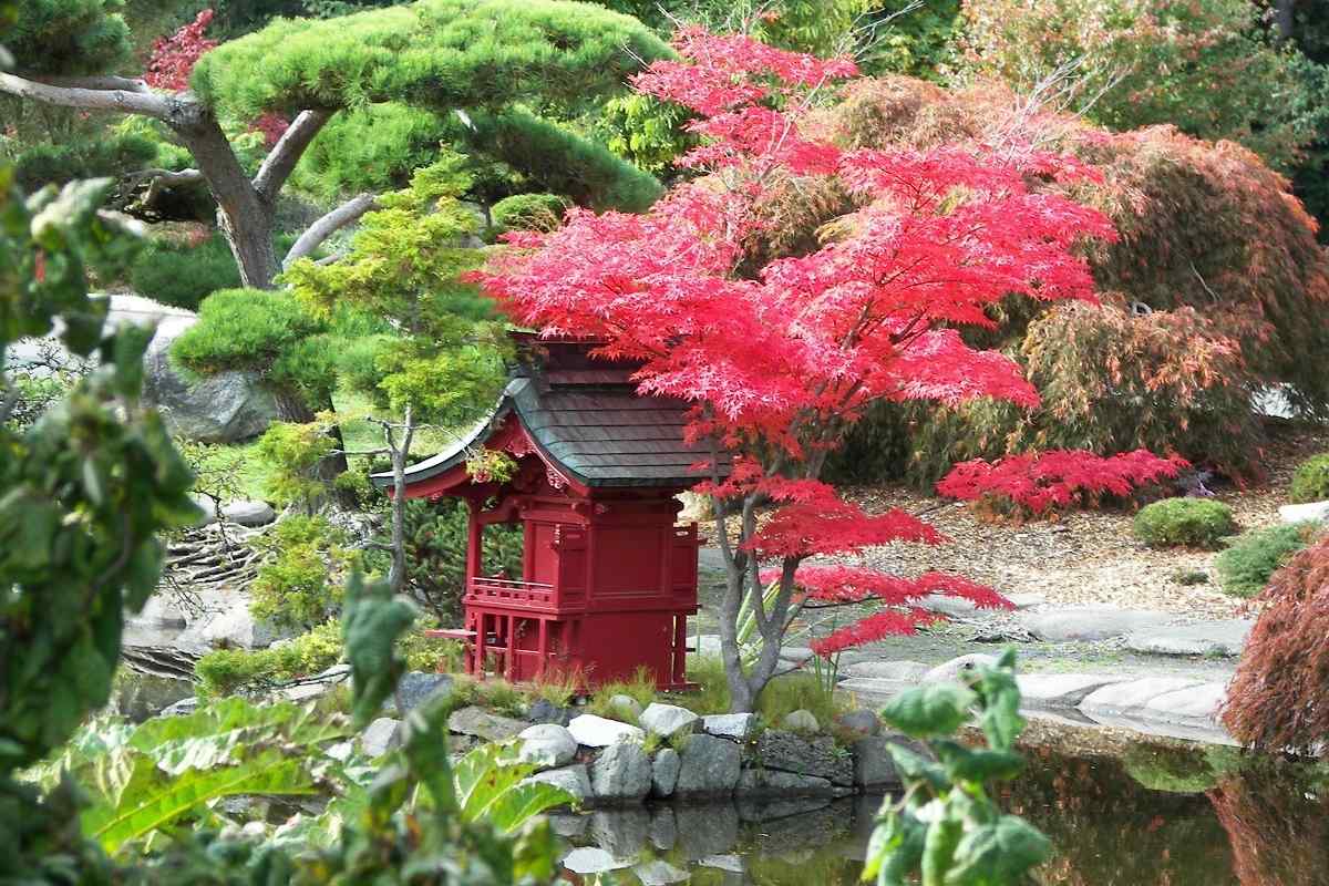 Маленька Японія: сад у японському стилі
