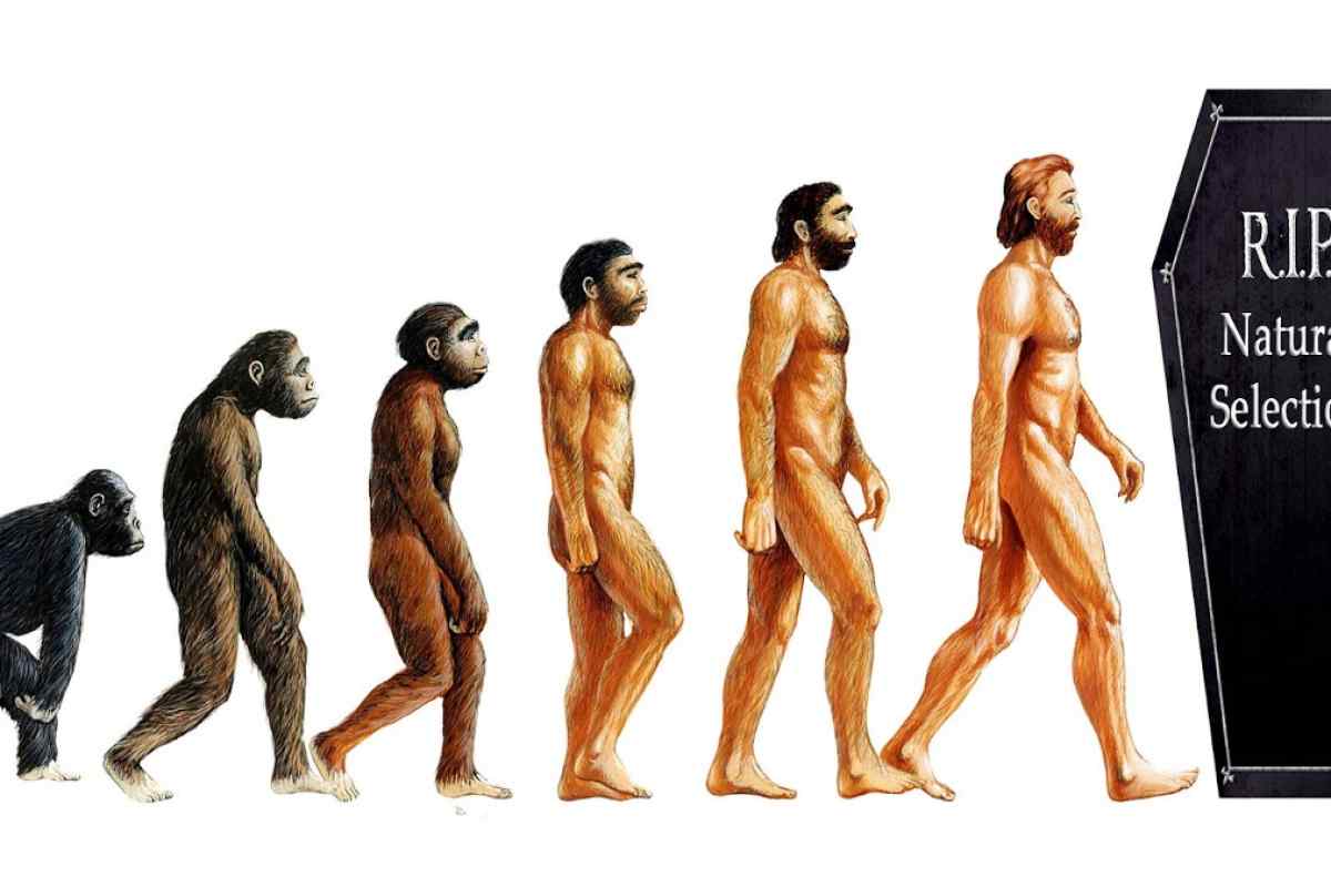 Чи зупинилася еволюція на людях