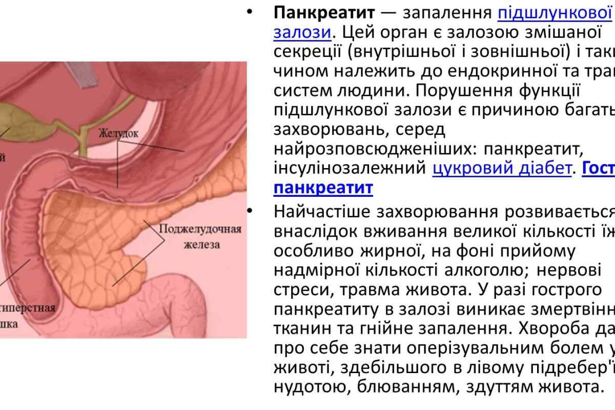 Які функції підшлункової залози
