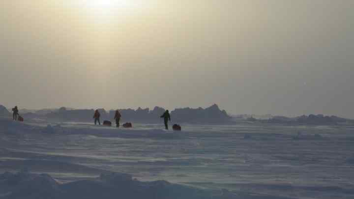 Хто першим досяг Північного полюса