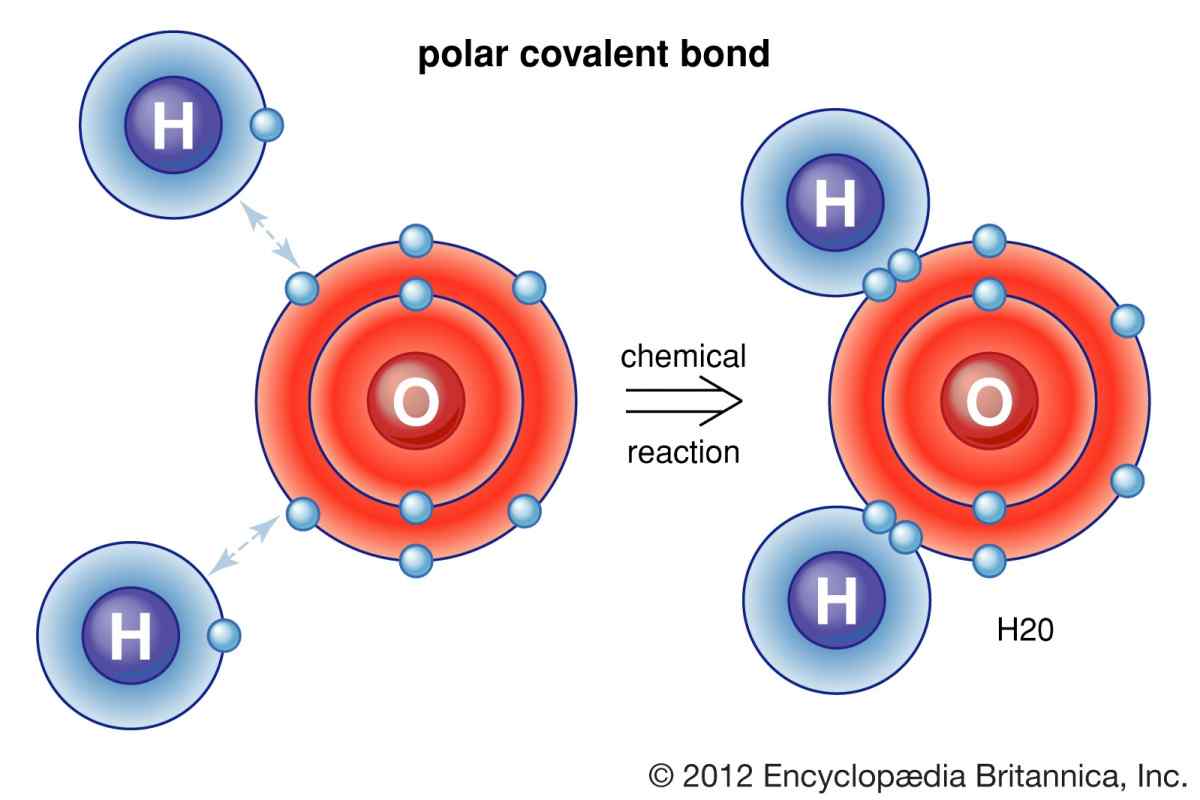 Як визначити полярність молекул