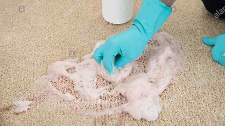 Як вилучити запах сечі на килимі