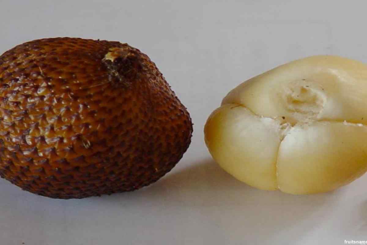 Як відрізнити фрукт від овоча