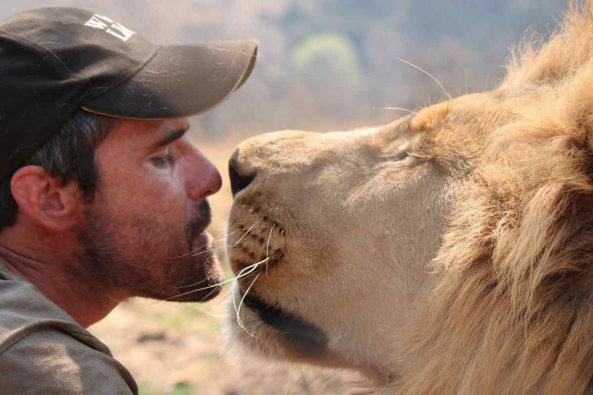 Як приручити чоловіка-лева