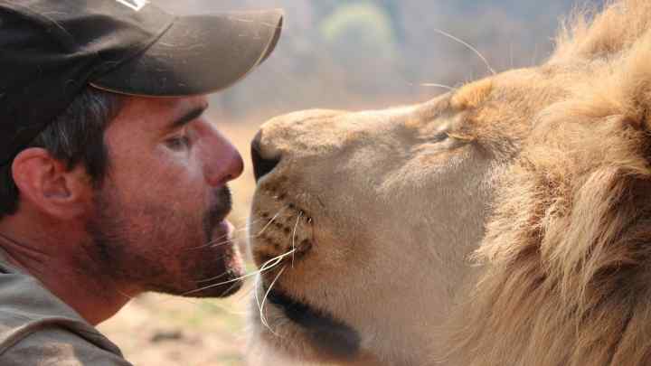 Як приручити чоловіка-лева