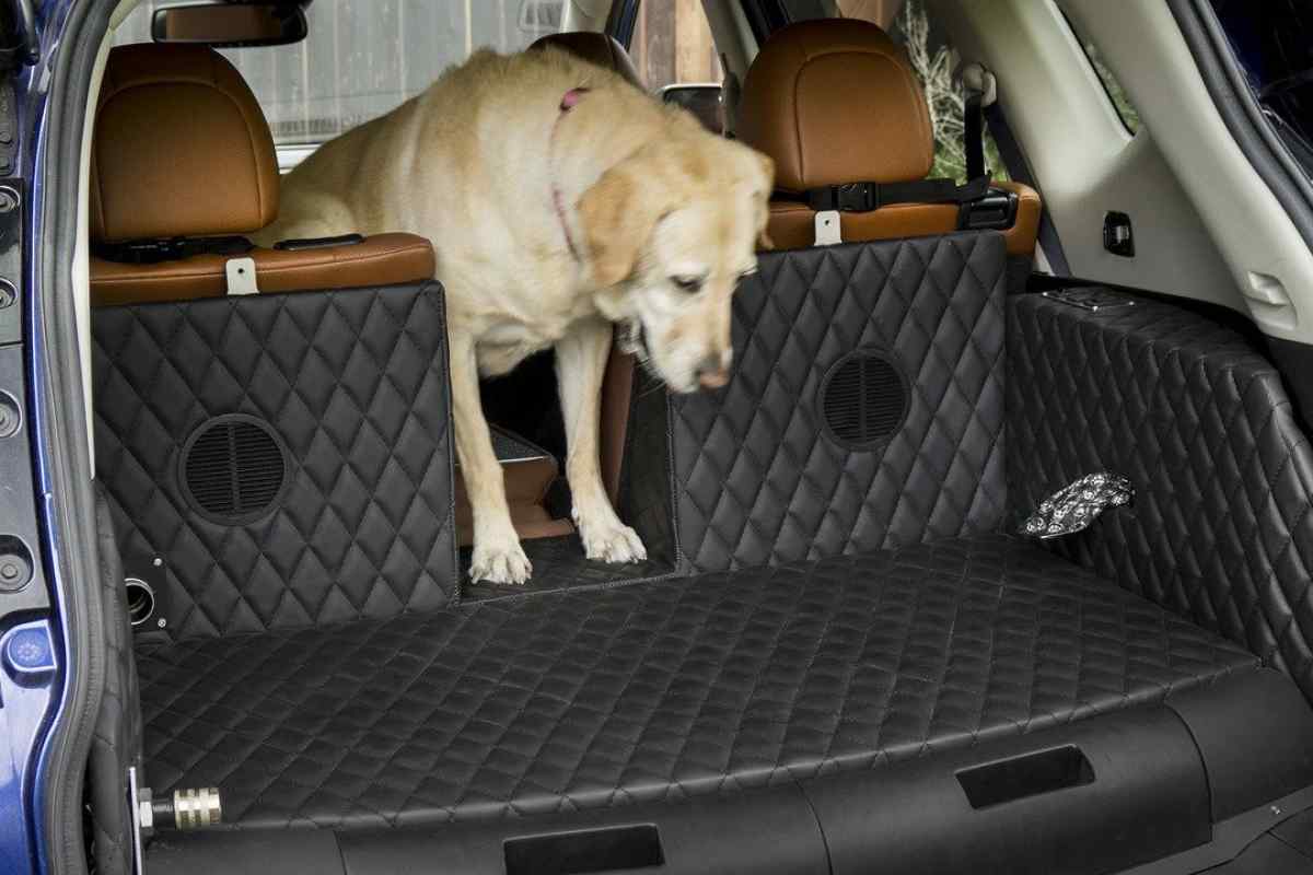 Компанія Nissan створює перший у світі багажник для собак