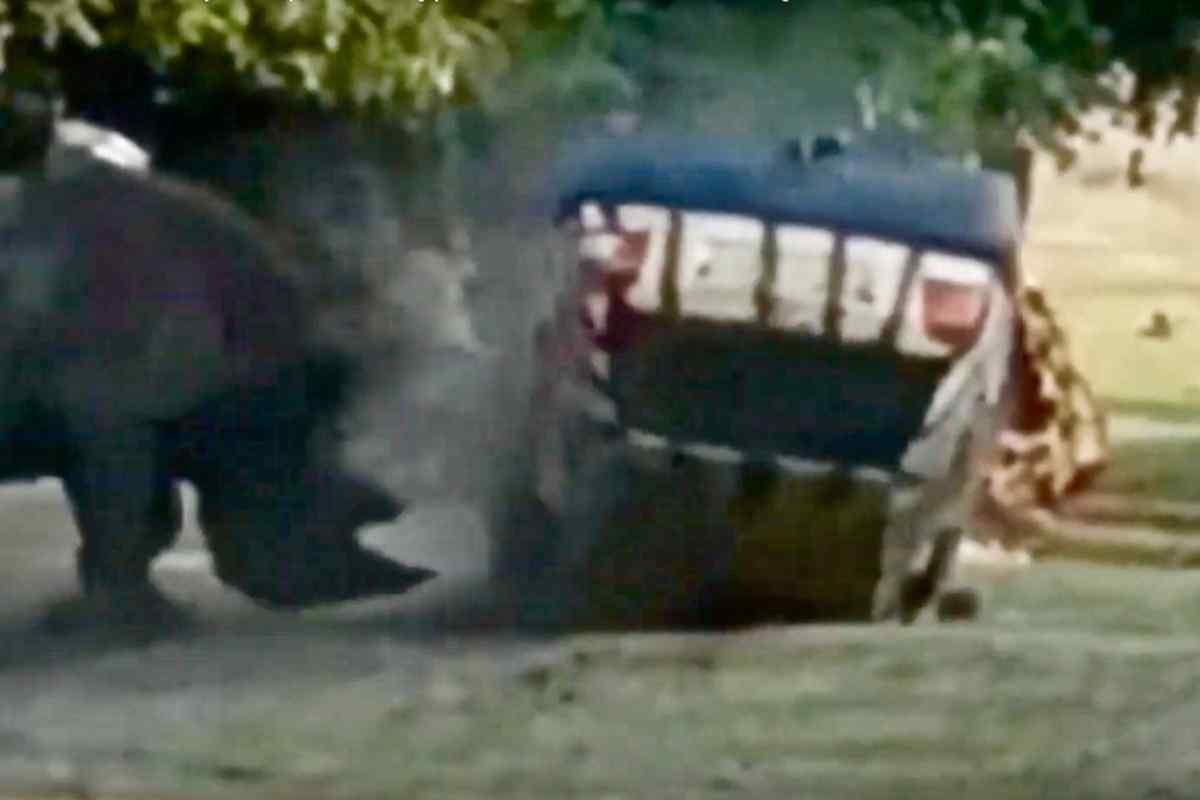 Заплив "Носорога": машина-амфібія з досить дивними колесами
