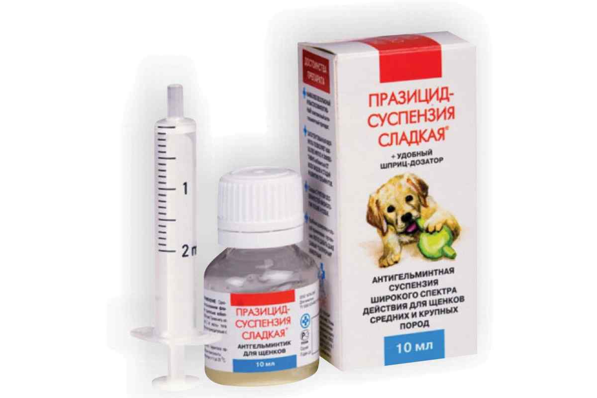 Як давати собаці таблетки від глистів