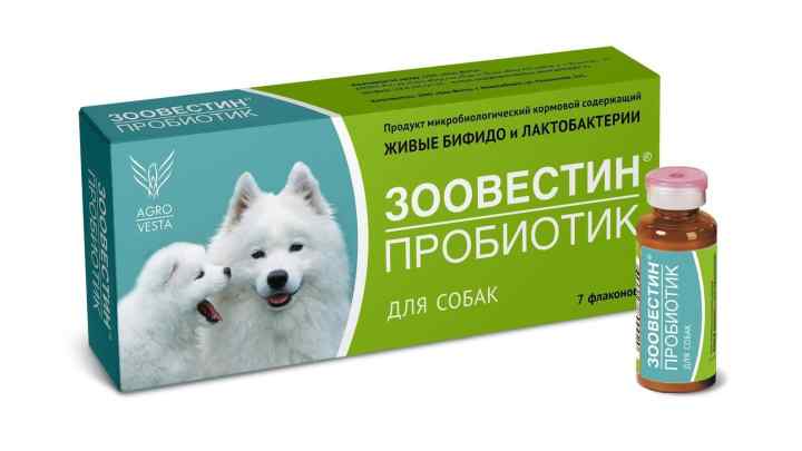 Які препарати потрібні від застуди для собаки