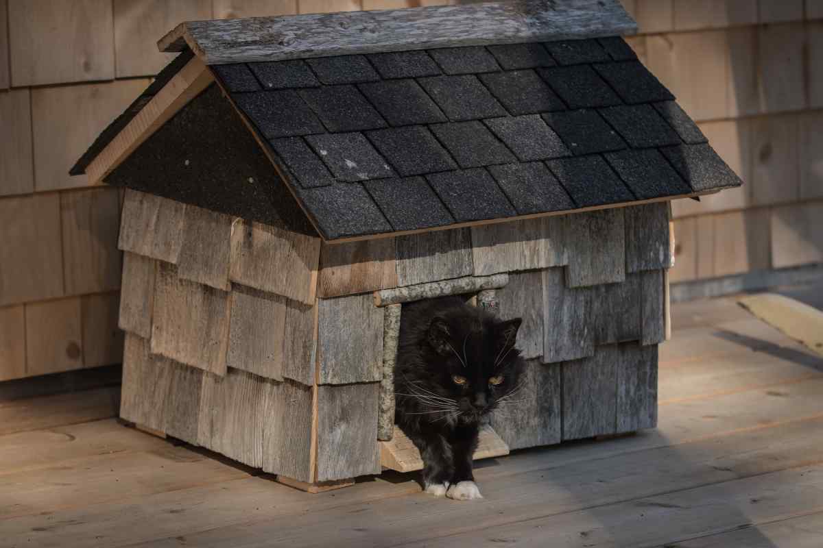 Як зробити будиночок для бездомного кота