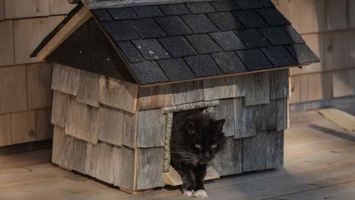 Як зробити будиночок для бездомного кота