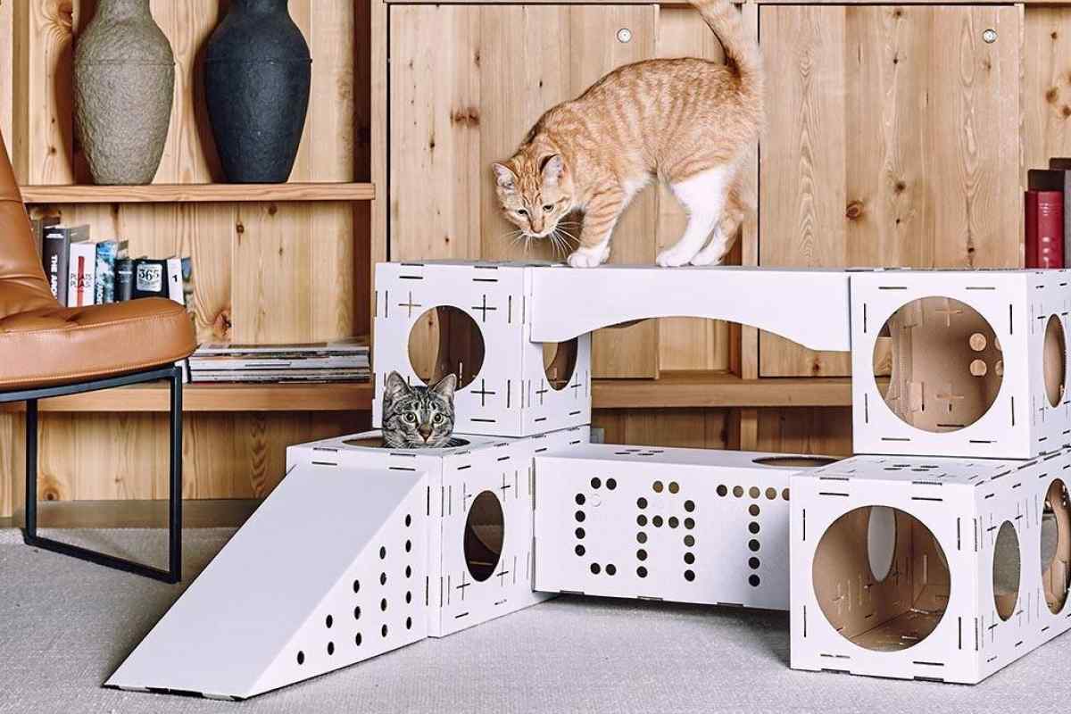 Як зробити будиночок для кішки