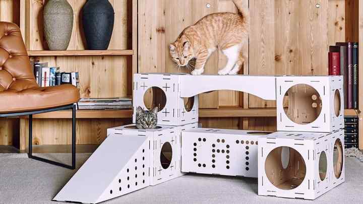 Як зробити будиночок для кішки