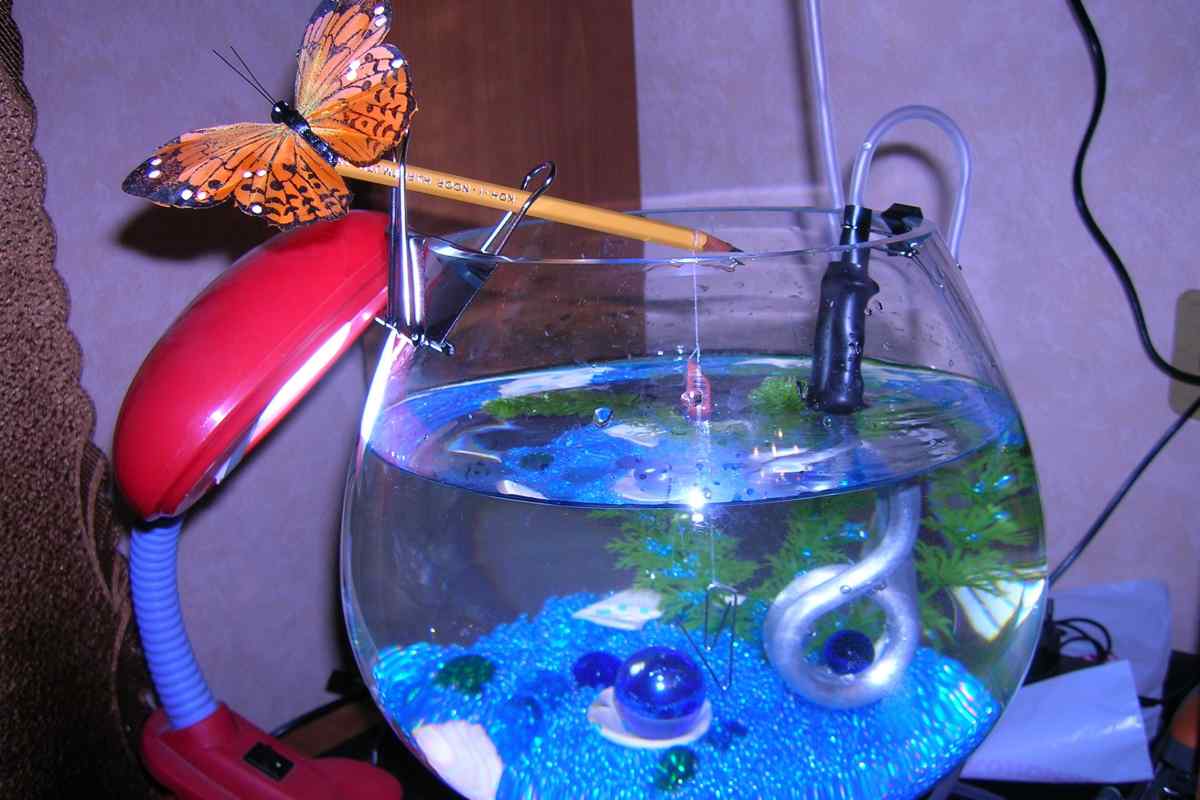 Як зробити акваріум самому